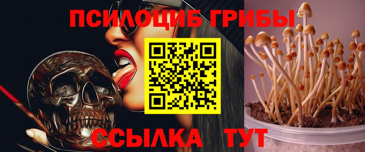 Челябинск  Псилоцибиновые грибы MAGIC MUSHROOMS  Вход с VPN 