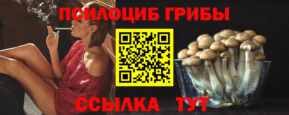 Галлюциногенные грибы Psilocybe Челябинск